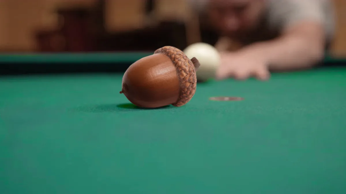 A close-up shot shows a brown acorn resting on a green felt pool table, with a blurred person and a white pool ball in the…