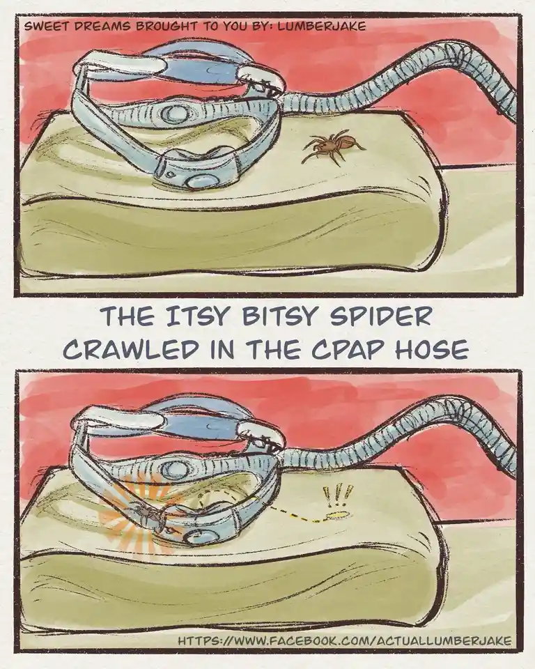 A two-panel comic shows a small spider crawling onto a CPAP mask and hose. In the first panel, the spider is on the mask's…