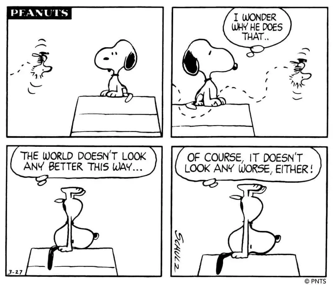 A four-panel Peanuts comic strip shows Snoopy sitting on his doghouse, observing a small bird flying away. He wonders why…