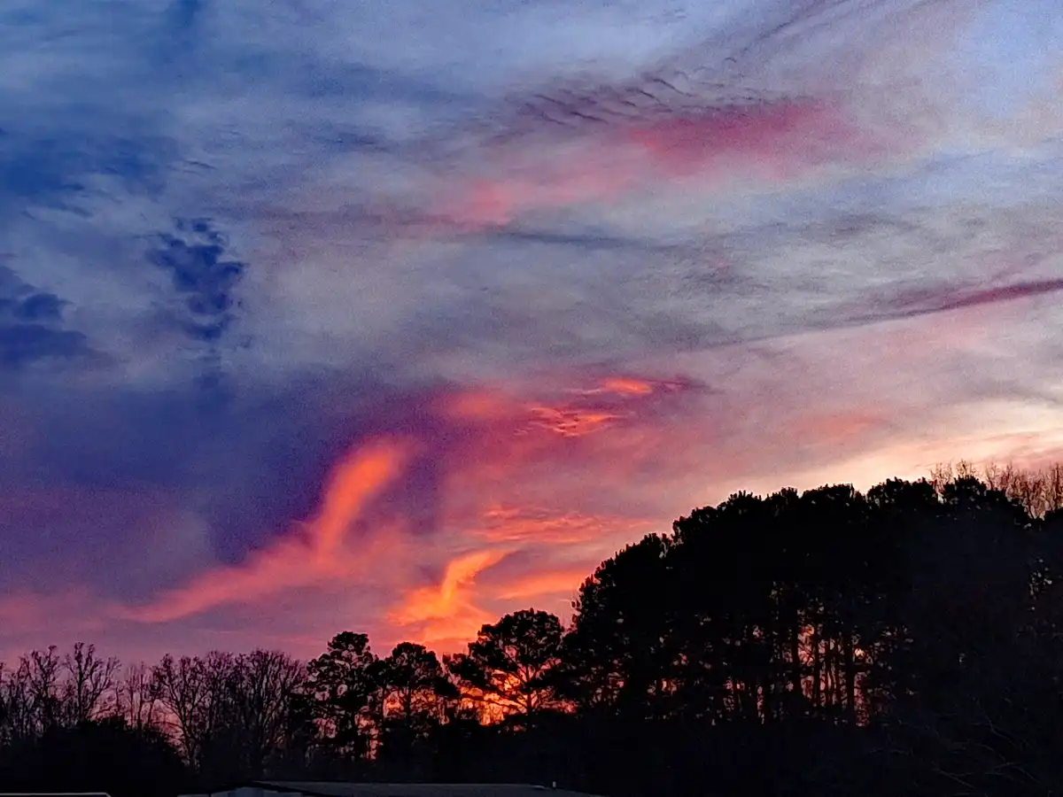 A photograph of a dramatic sunset with vibrant pink and orange clouds against a deep blue sky, silhouetting trees at the…