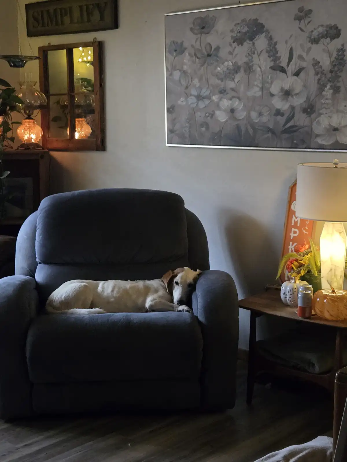 A white and brown dog is resting its head on the arm of a dark gray recliner in a cozy, warmly lit living room. Above the…