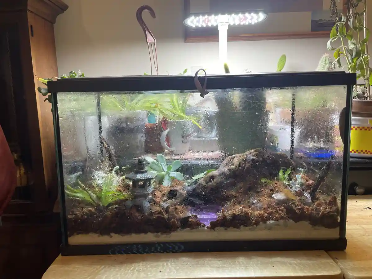 Welcome to Slugford's Cozy Abode