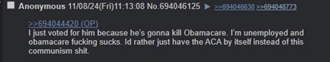 A screenshot of a 4chan post from November 8, 2024, showing a user (OP) claiming to have voted for a candidate to repeal…