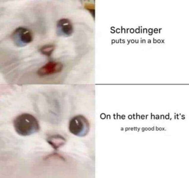 A two-panel meme featuring a white cat with wide, startled eyes in the top panel and a slightly less alarmed expression in…