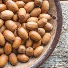 A close-up photo shows a wooden bowl filled with small, brown, oval-shaped seeds resembling hazelnuts or chestnuts, resting…