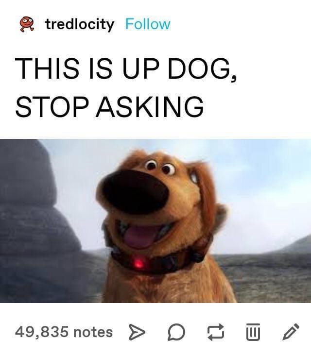 The image shows a close-up of the animated dog character Up Dog from the movie 'Up' with a cheerful expression, wearing a…
