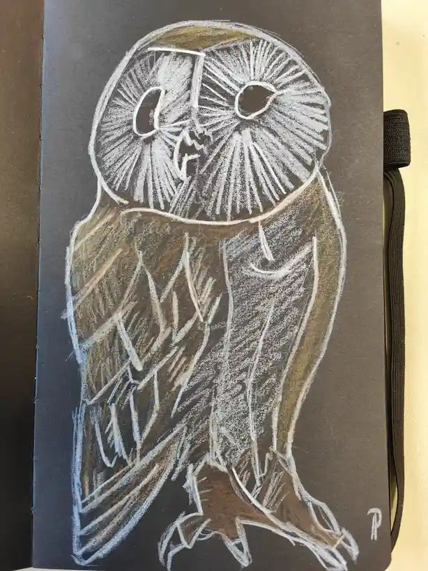 A chalk drawing on dark paper depicts a barn owl with large, round eyes and a beak, rendered in white and brown chalk. The…