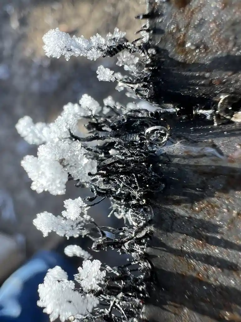 A close-up photo shows intricate, feathery ice crystals forming on dark, wet, possibly rusty metal or rock surfaces. The…