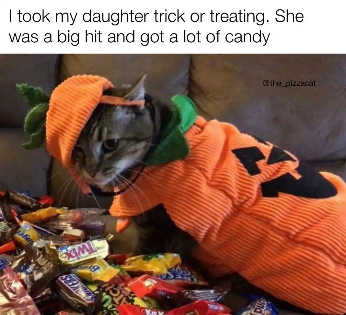 A tabby cat wearing an orange pumpkin costume with green stem and black jack-o'-lantern face details is sitting on a couch…