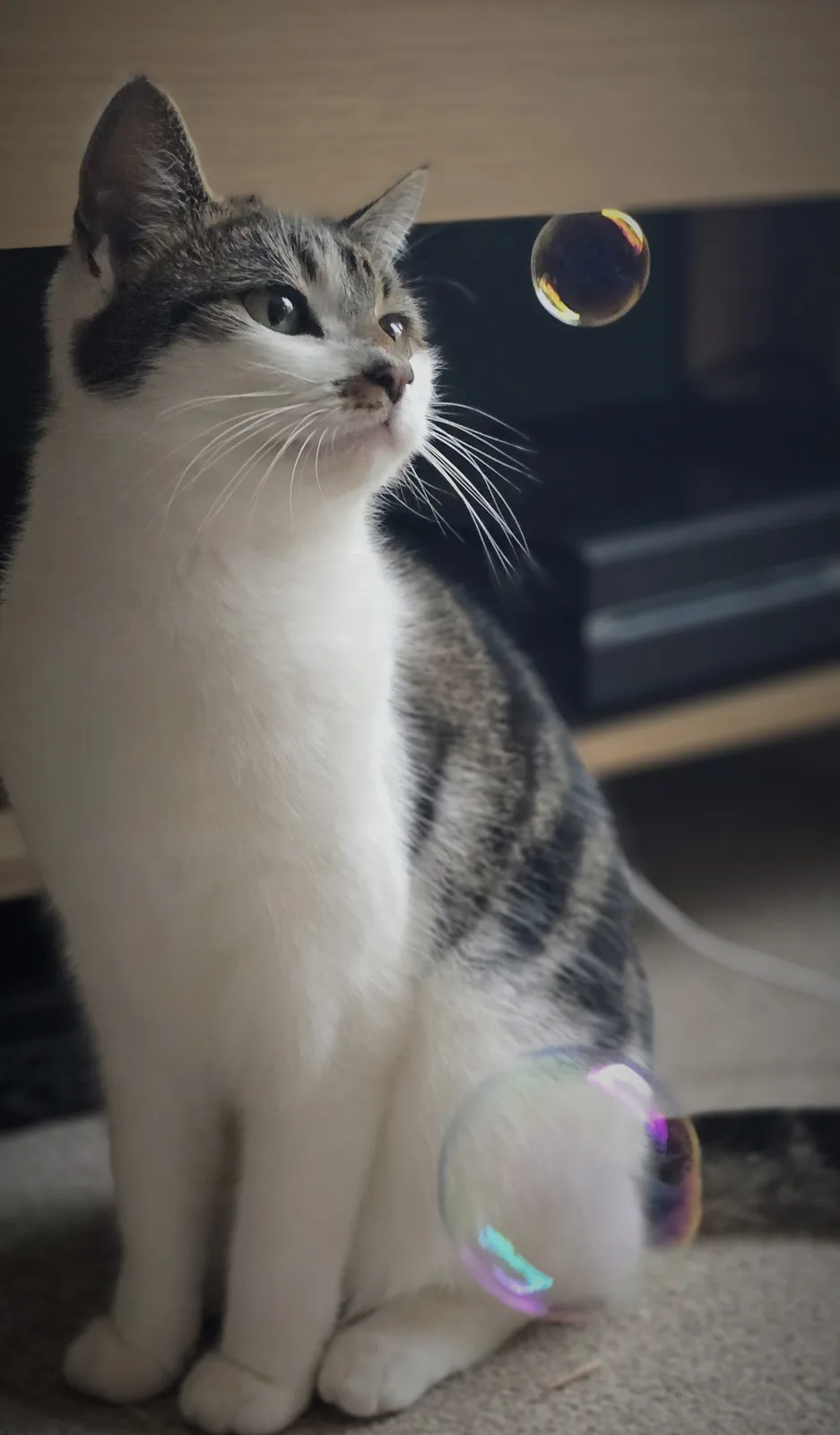 It's all about the bubbles!