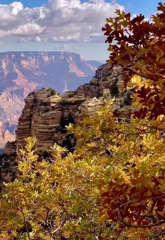 A scenic photo of the Grand Canyon with autumn-colored leaves in the foreground, overlaid with the text 'i'm not lazy, i'm…