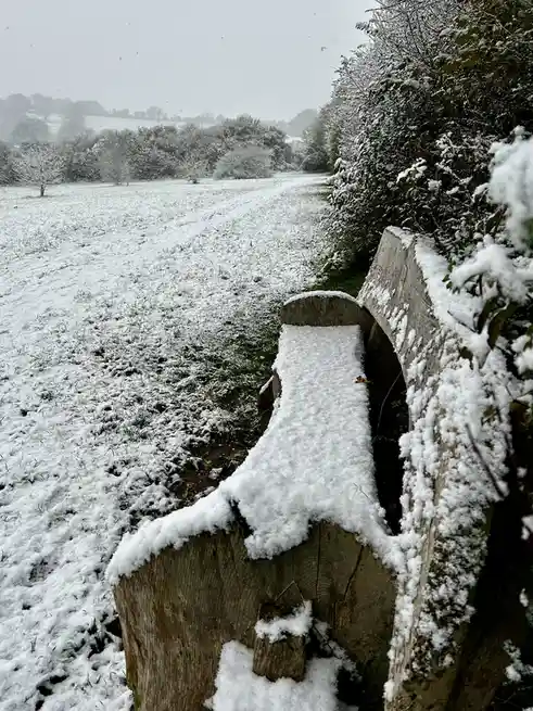A wooden bench in a snowy field is completely covered in fresh snow, with snow also blanketing nearby bushes and trees under…