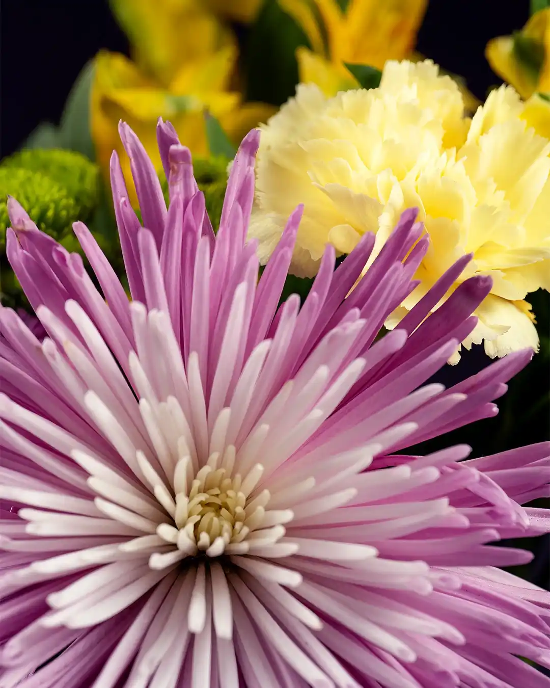 A close-up photo of a purple and white daisy-like flower in the foreground, with yellow carnations and green foliage blurred…
