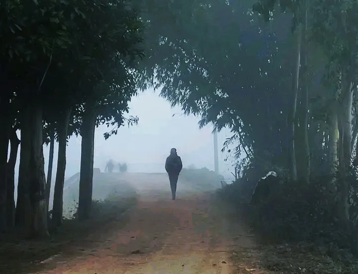 A Serene Winter Morning Awaits