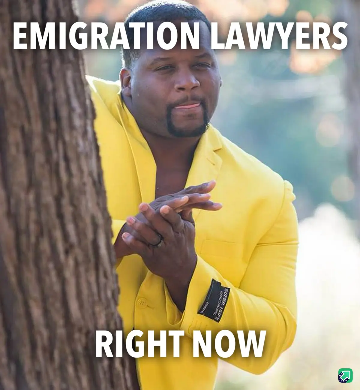 A man in a bright yellow suit peeks around a tree trunk with a smug, self-satisfied expression, hands clasped together. The…