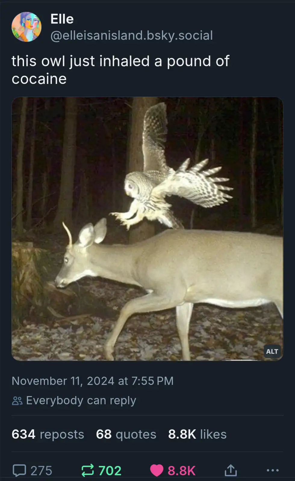 A still image from a night camera shows a barred owl in mid-flight, swooping down toward a deer in a forest. The overlaid…