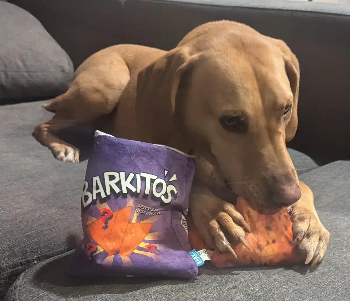 A light brown dog lies on a gray couch, holding a plush toy shaped like a chip bag labeled 'BARKITOS SPICY SIDWALK MYSTERY…