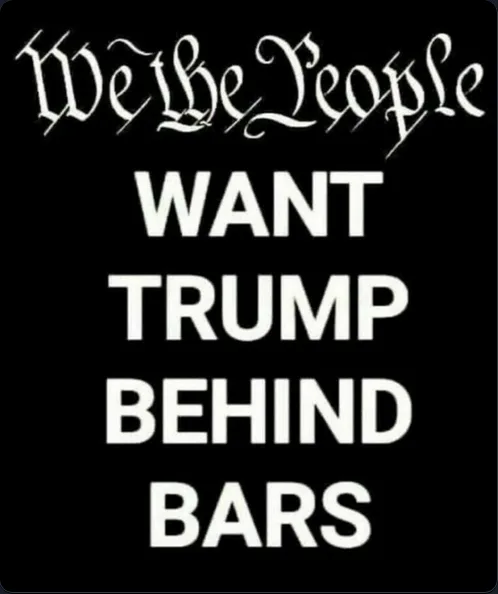 A black background features the phrase 'We the People' in ornate white gothic script at the top, followed by the bold…
