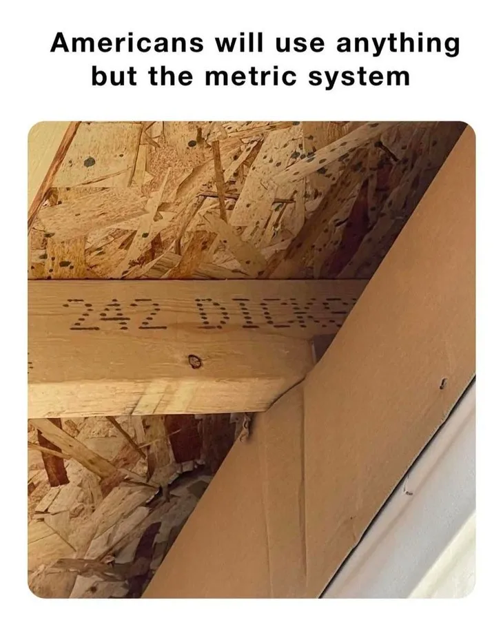 A close-up photo of a wooden beam in a construction setting, with the words '242 DICKS' stenciled onto its surface. The beam…