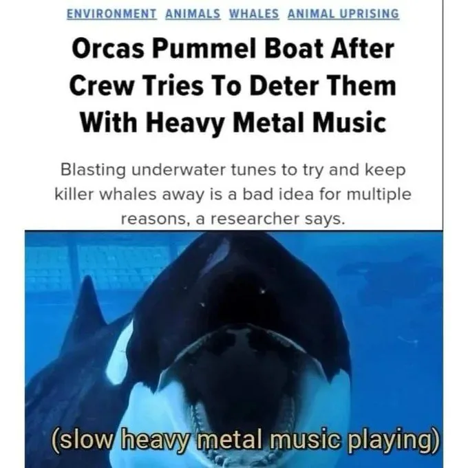 Just Gets Them All Fired Up