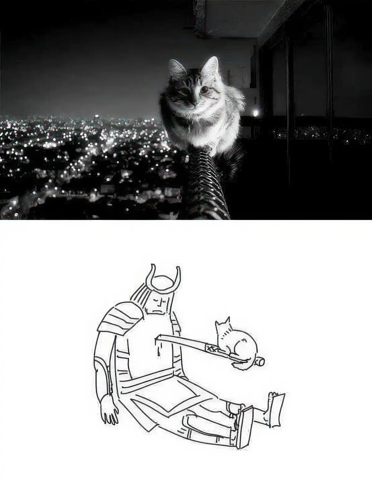 The top half shows a fluffy tabby cat perched atop a ventilation pipe against a nighttime cityscape backdrop. The bottom…