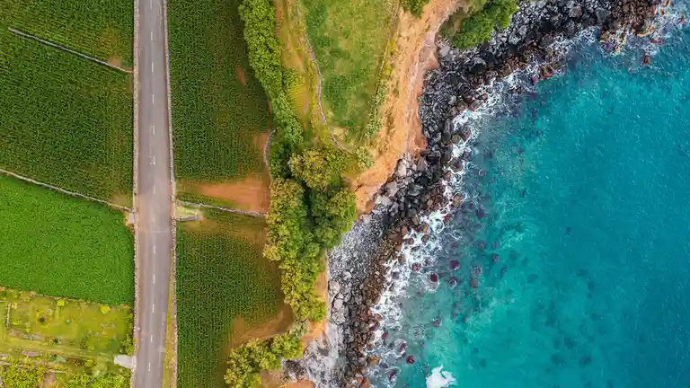 On Terceira, one of nine Azores islands, the 50-mile ring road navigates the shoreline briefly before cutting inland through…