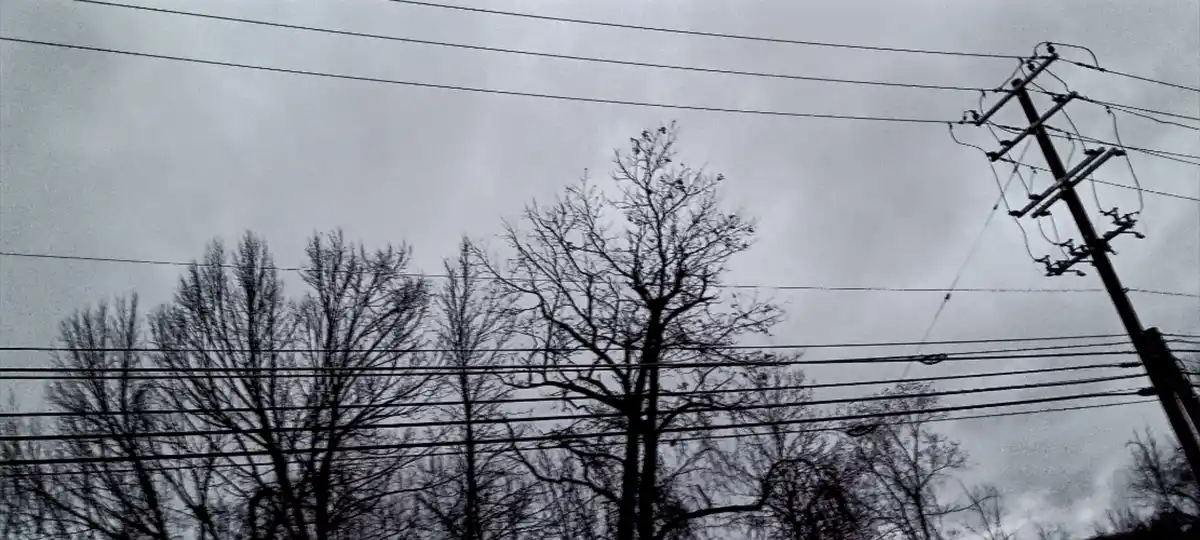 A black-and-white photo shows bare trees and a utility pole with wires against a cloudy sky. Overlaid text reads 'i'm not…
