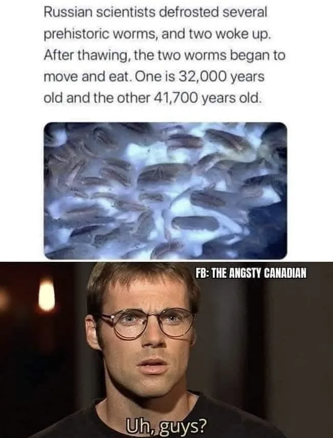 Can We Please Just Stop This Madness?