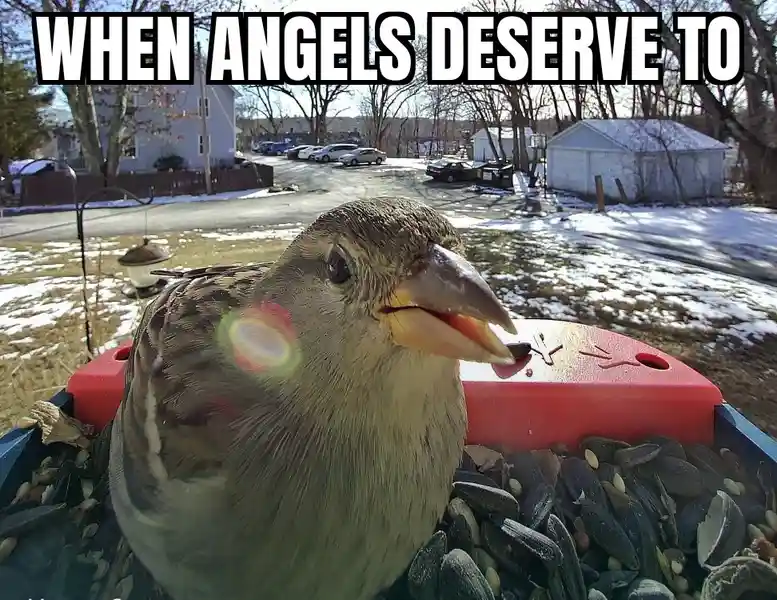 Having a blast with my feathered friend