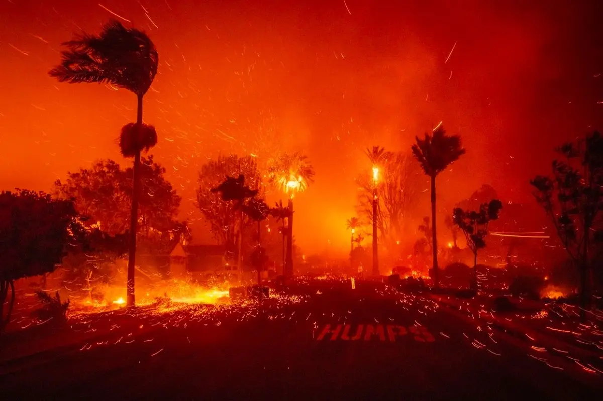 A dramatic photograph of a street during a wildfire, with palm trees silhouetted against an orange-red sky filled with…