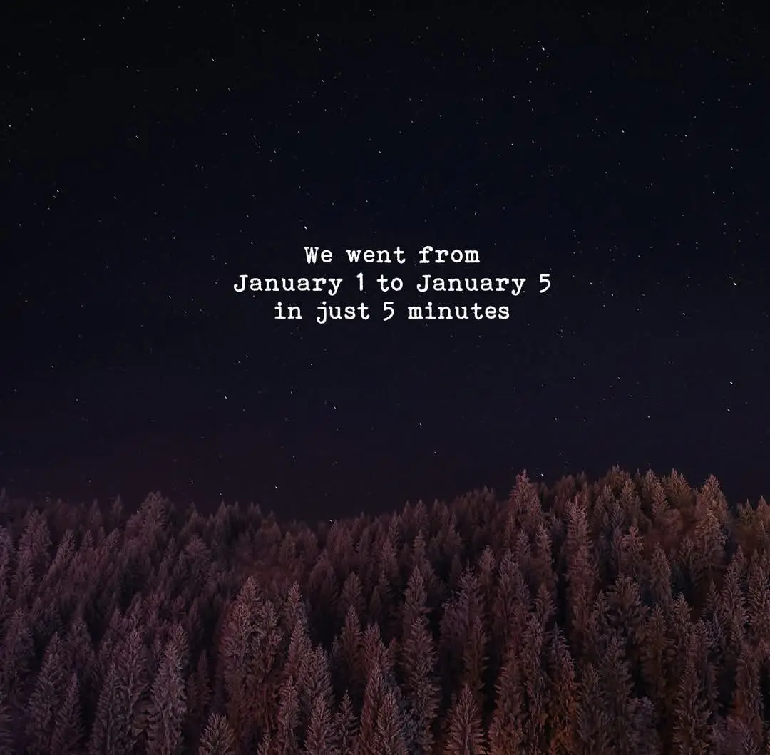 A starry night sky above a dense forest of pine trees, with white text overlaid that reads 'We went from January 1 to…