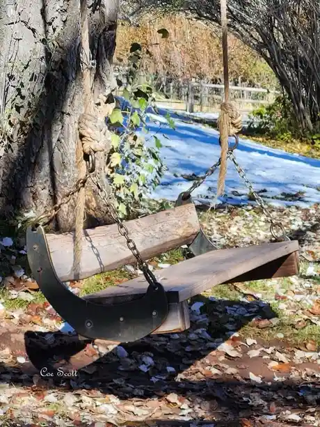 a rustic wooden swing with metal chains and rope attachments hangs from a tree in a yard covered with fallen leaves and…