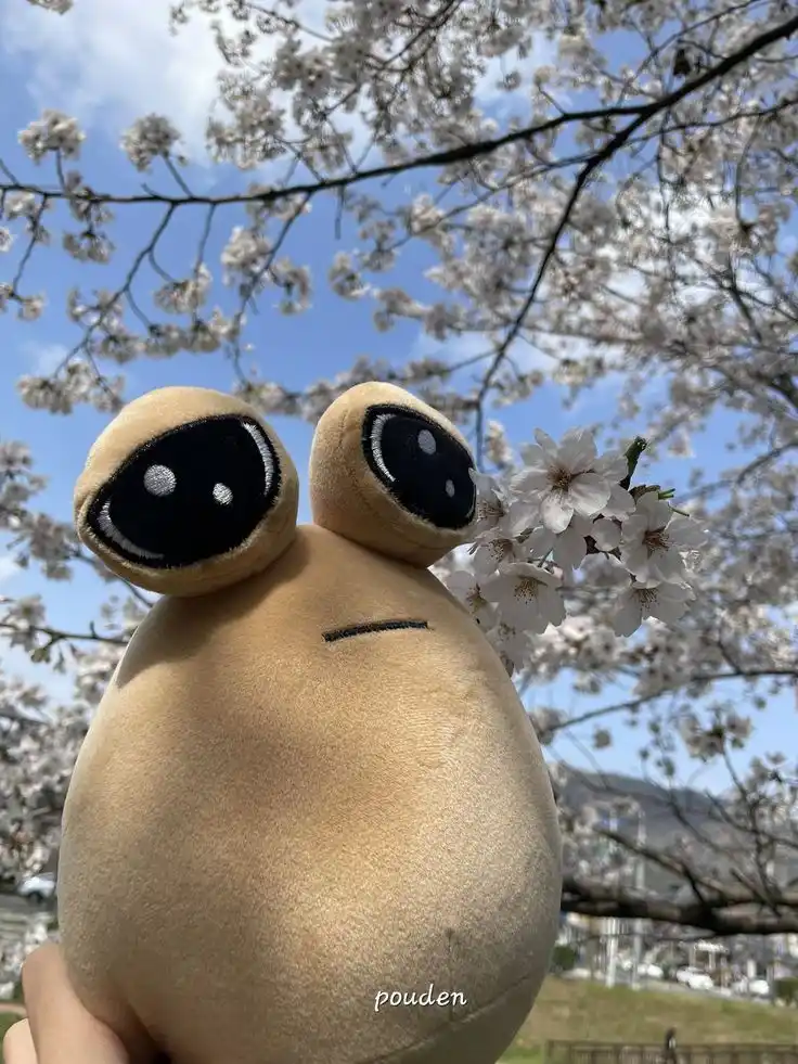 A tan plush toy with large, round, black eyes and a simple stitched mouth is held up against a backdrop of blooming cherry…