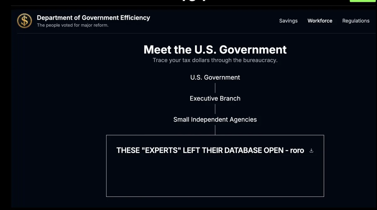 A screenshot of a fictional 'Department of Government Efficiency' website showing a flowchart titled 'Meet the U.S…