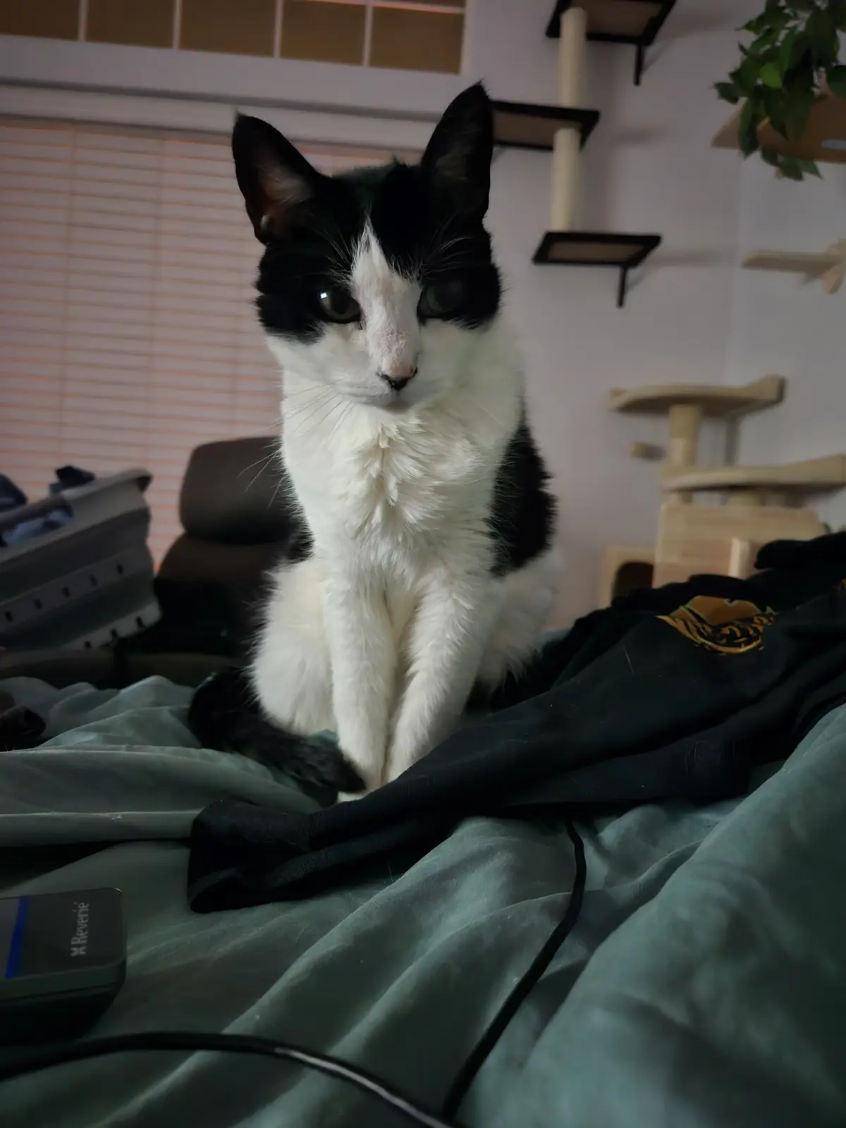Patiently Waiting for Some Attention