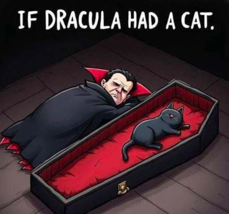 A cartoon image shows a vampire resembling Dracula lying in a coffin with a black cat resting beside him. The coffin has a…