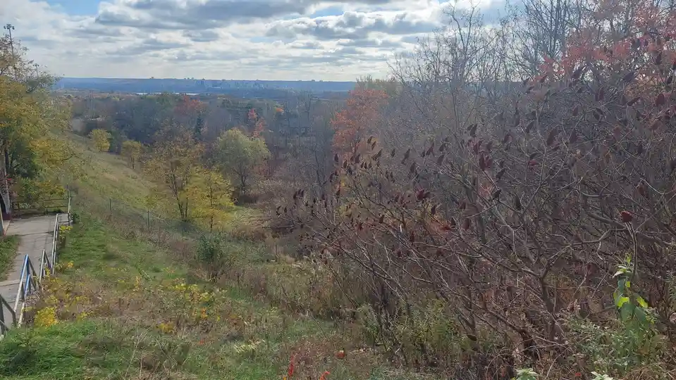 A scenic autumn overlook shows a grassy hillside with trees in yellow, orange, and red foliage, a distant city skyline under…