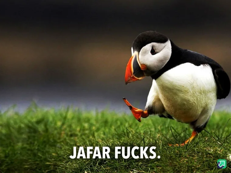 A close-up photograph of a puffin standing on green grass, looking down at its orange beak and feet. The bird has black and…