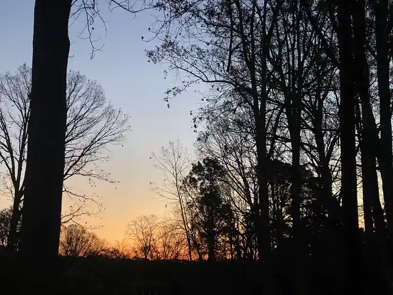 A Cheerful Good Morning from Durham!
