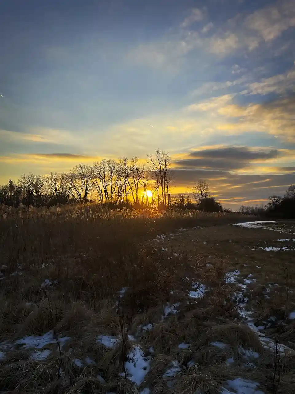 A serene winter sunset over a field with patches of snow, bare trees silhouetted against a golden sky, overlaid with the…