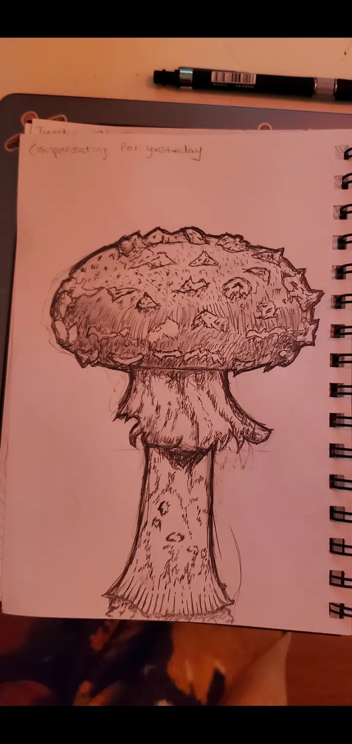 A hand-drawn sketch of a large, detailed mushroom in a spiral-bound notebook, with the handwritten text 'Compensating for…