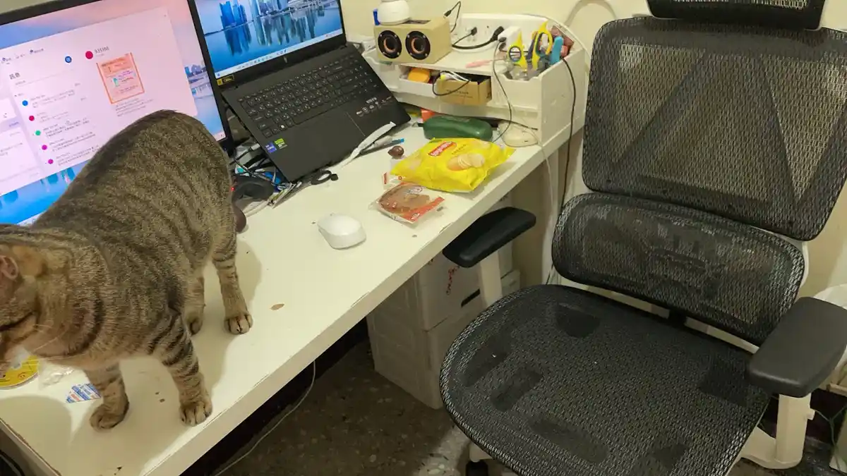 一只虎斑猫站在杂乱的办公桌上，旁边是电脑显示器、笔记本电脑和办公椅。猫正低头看着桌上的零食，似乎在享受偷吃。桌面上散落着零食包装、鼠标、剪刀等杂物，背景是城市夜景壁纸。猫的姿势和文字暗示它在工作日偷懒不上班。