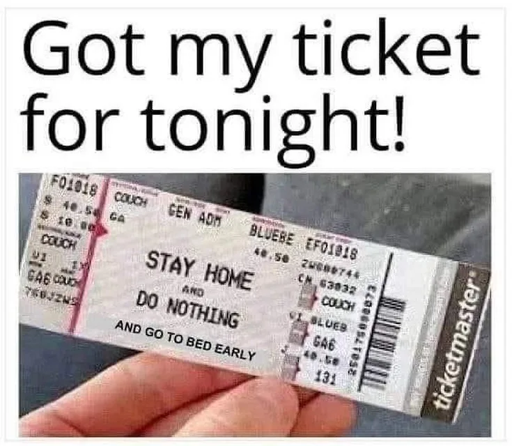 A hand holds a Ticketmaster concert ticket stub that has been humorously altered with the text 'STAY HOME AND DO NOTHING AND…