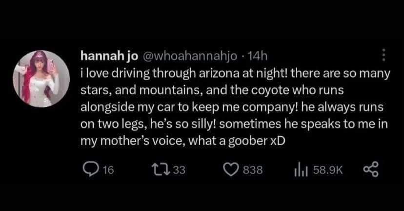 A screenshot of a tweet from user 'hannah jo' (@whoahannahjo) posted 14 hours ago. The tweet text describes loving to drive…