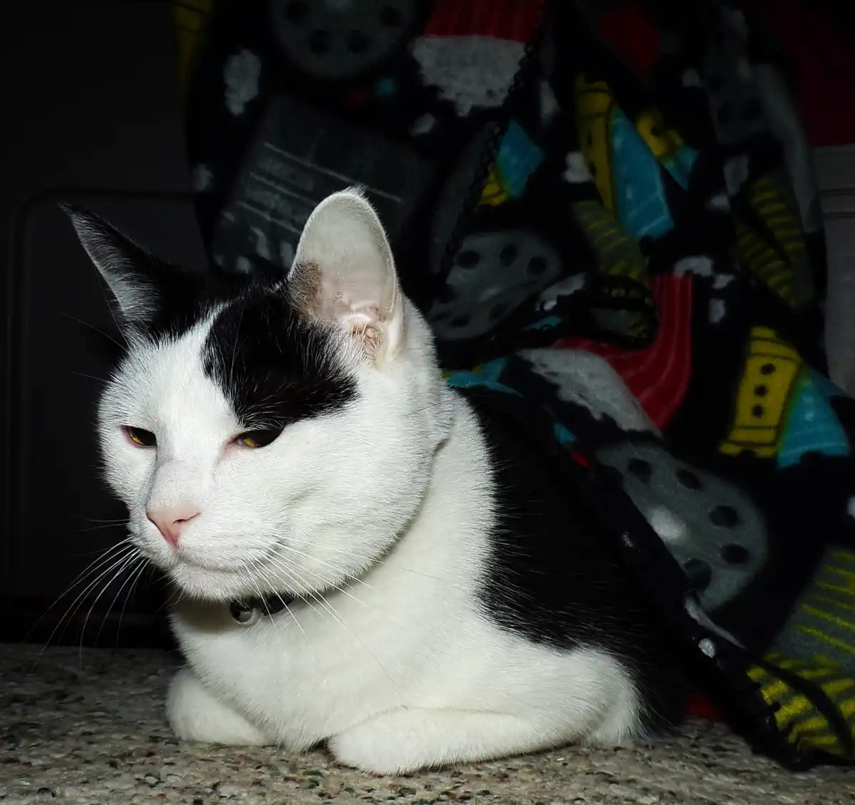 Reflections on My Old Man