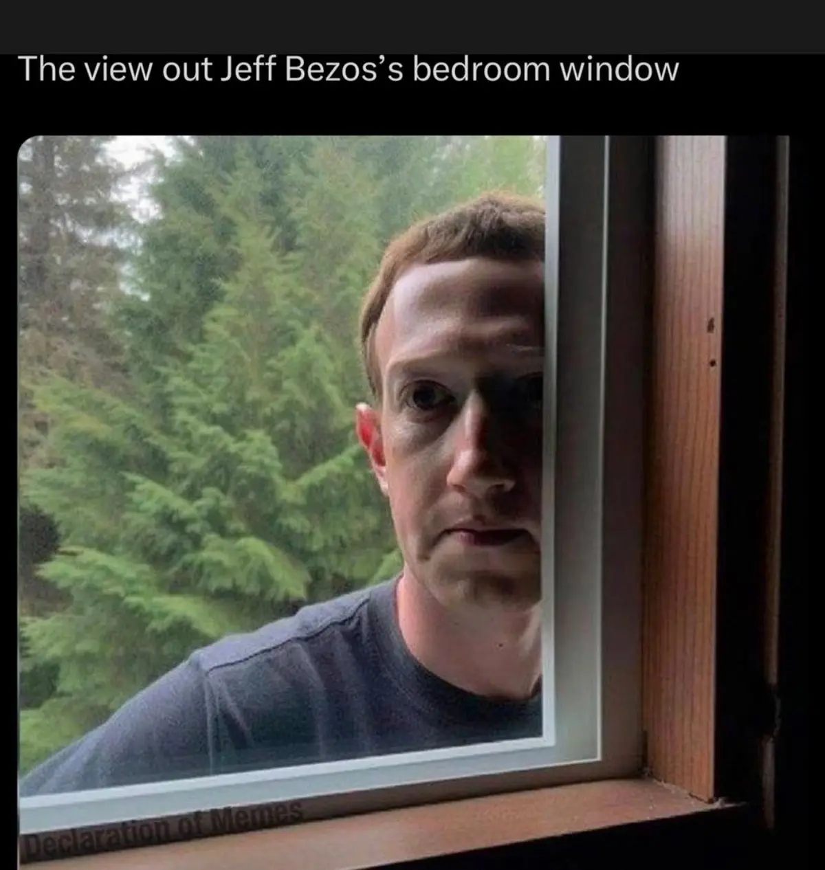 A man with reddish hair and a serious expression peers through a window frame, with green trees visible outside. The…