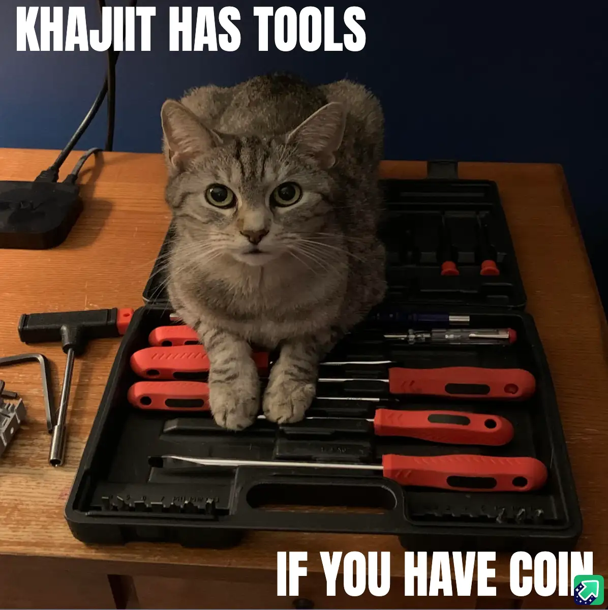 KHAJIIT HAS TOOLS! Bring Your Coins!