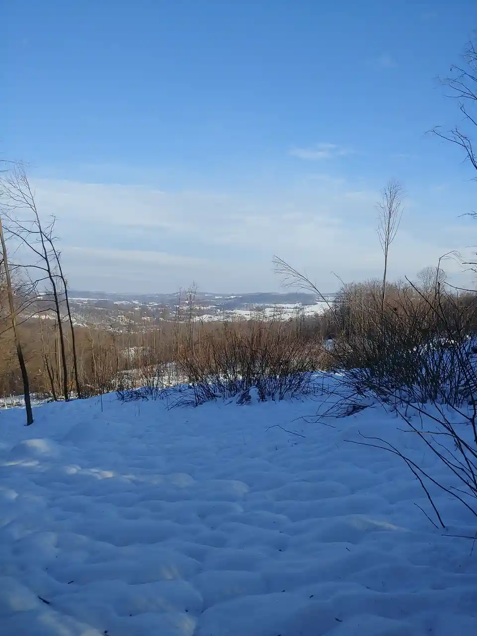 A snowy landscape with a clear blue sky, bare trees, and a textured snow-covered ground leading into a distant valley. The…