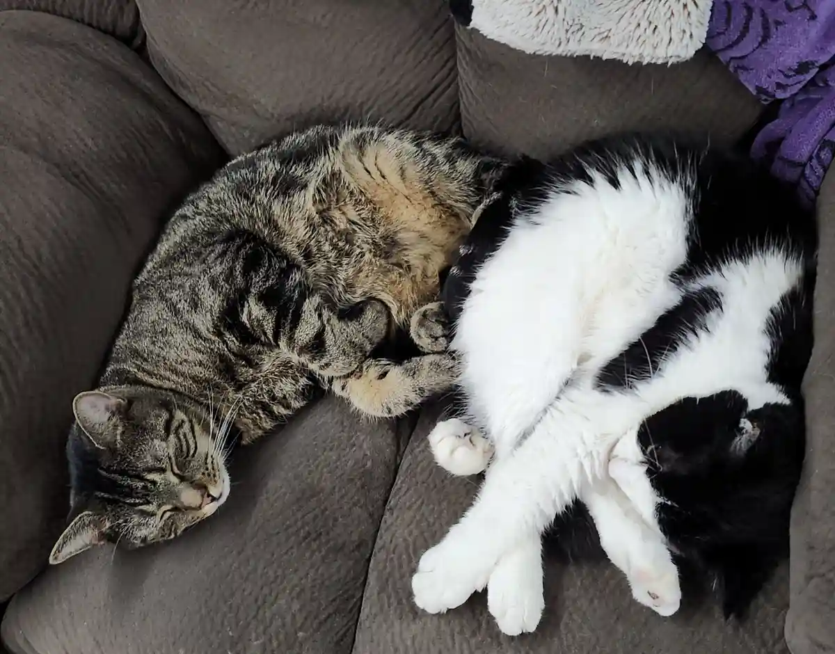 Toleration Level: Off the Charts!