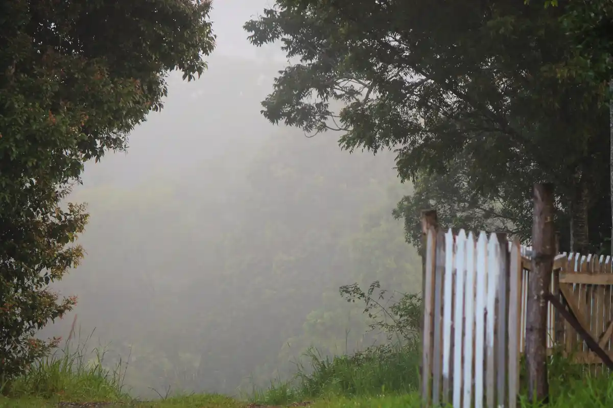 A misty, foggy outdoor scene framed by trees, with a white picket fence in the foreground and greenery fading into the haze…